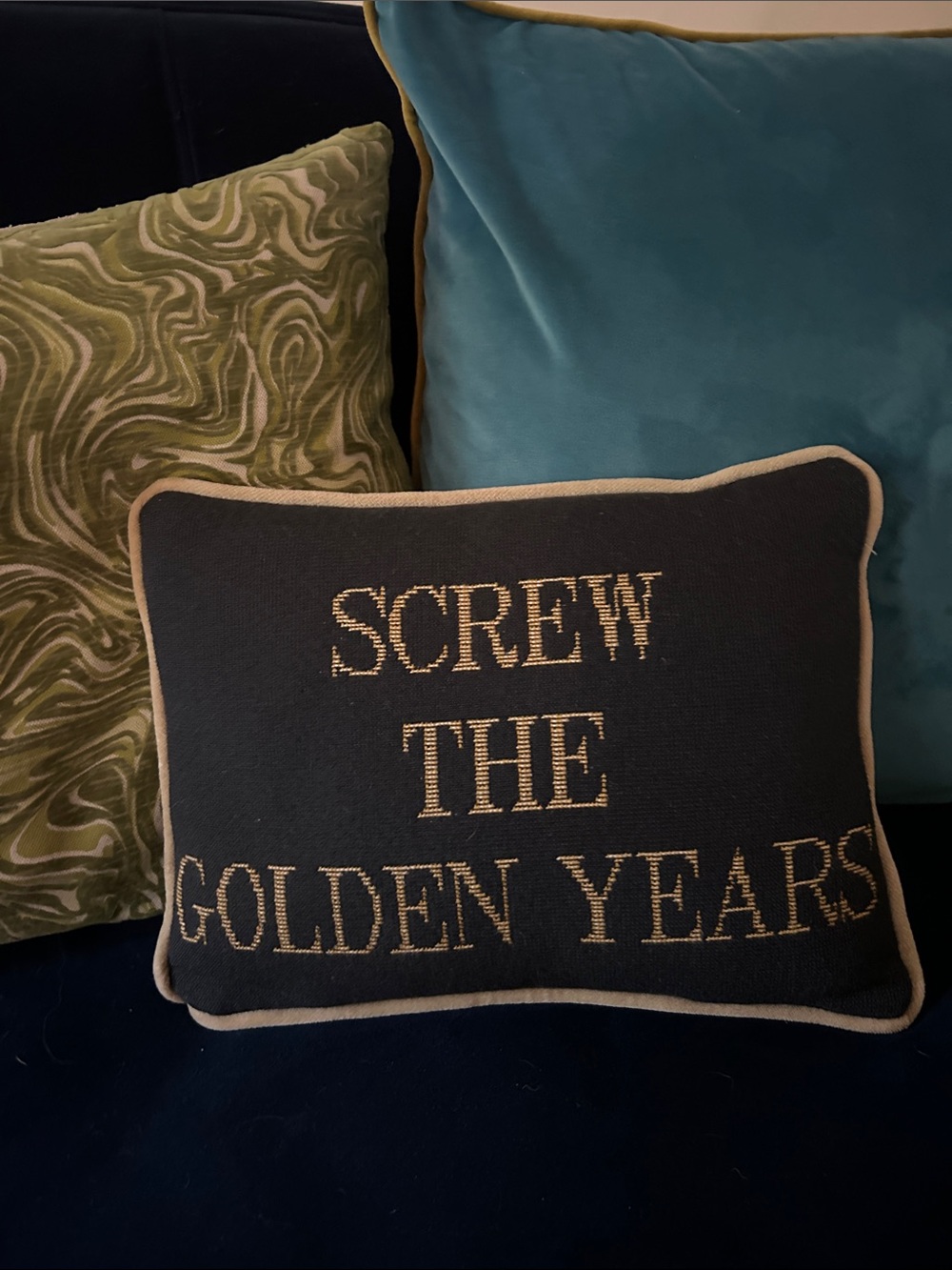 Funny Screw The Golden Years Needlepoint Pillow 9x12 Wool Sarcastic Couch Decor